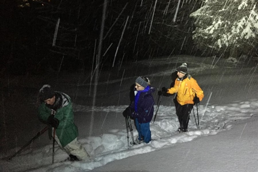 Schneeschuhwanderungen 2016