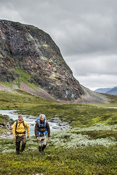 Fjäll Räven