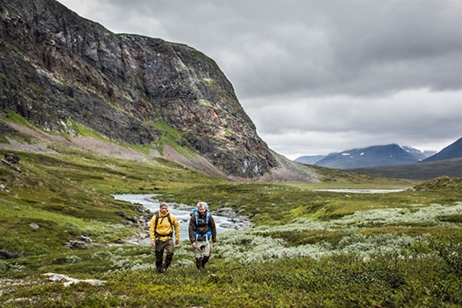 Fjäll Räven