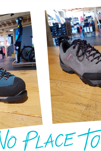 Scarpa