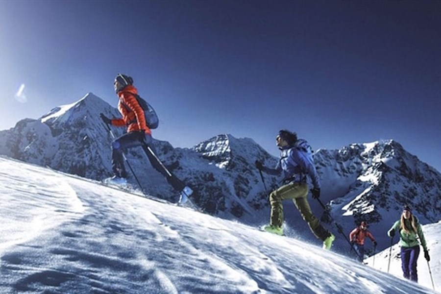 Dynafit: Bekleidung - Ski - Bindungen - Accessoires
