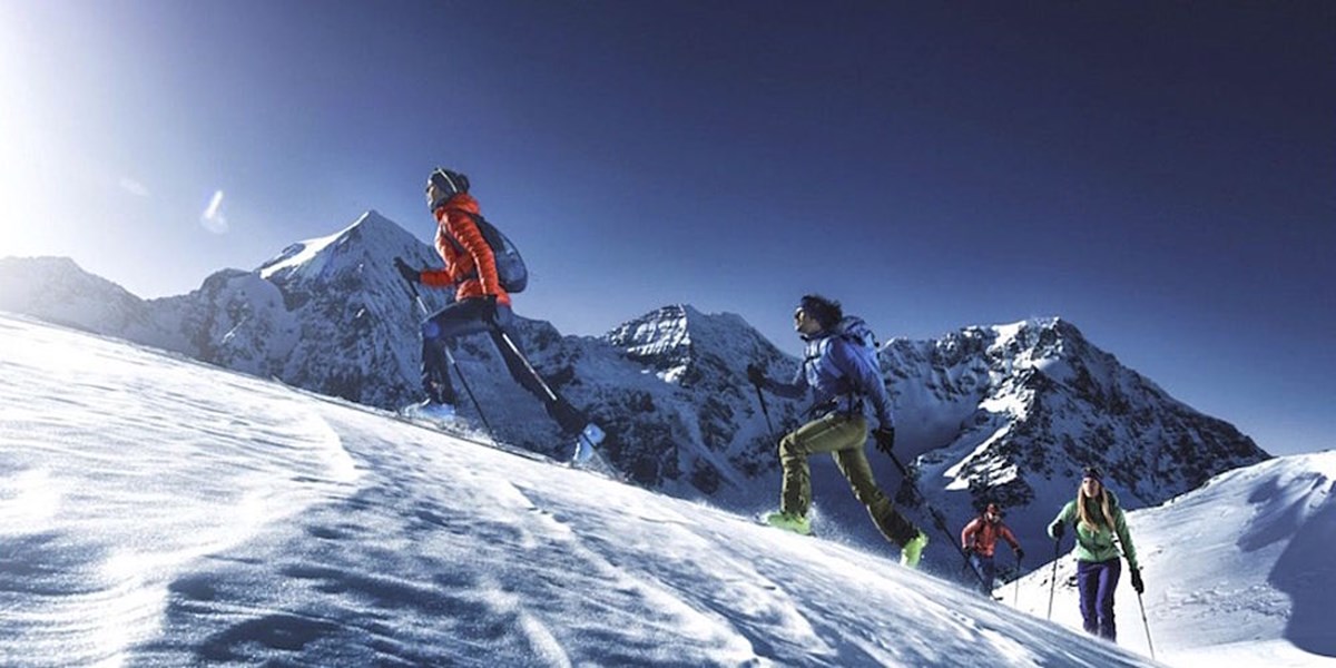 Dynafit: Bekleidung - Ski - Bindungen - Accessoires